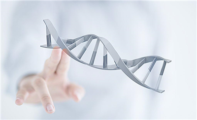 CRISPR/Cas12a系統(tǒng)實驗