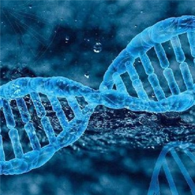 慢病毒轉染實驗