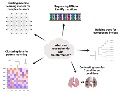 生物信息學分析